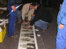 2007 Schmücken